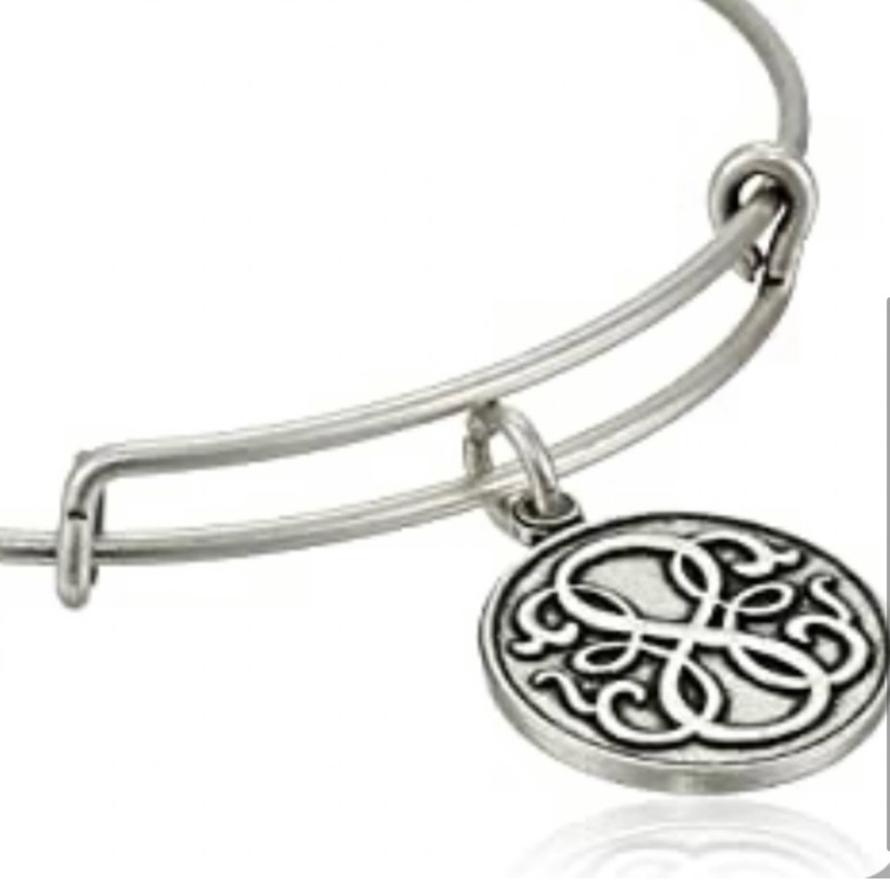 Alex and Ani Path of Life Charm
Bangle Bracelet - Picture 2 of 4